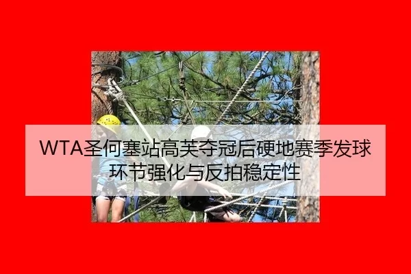 sheng-he-sai-zhan-gao-fu-duo-guan-hou-ying-di-sai-ji-fa-qiu-huan-jie-qiang-hua-yu-fan-pai-wen-ding-xing-3-793.jpg